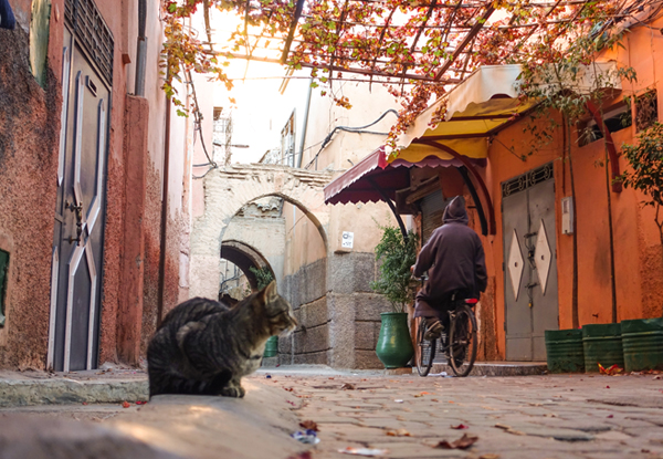 【摩洛哥旅游深度风情游十日】卡萨布兰卡+吉达+马拉喀什+菲斯+舍夫沙万异域风情