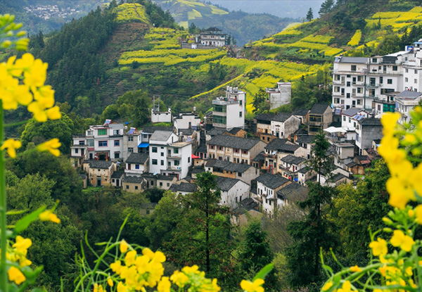 【江西旅游高铁纯玩五日】婺源深度摄影+全程纯玩0购物+旅程更舒适