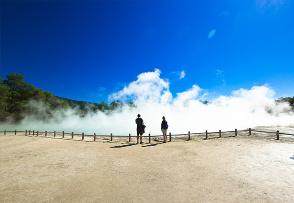 【澳洲新西兰深度游十日游】奥克兰+罗托鲁瓦+悉尼+布里斯班品质团