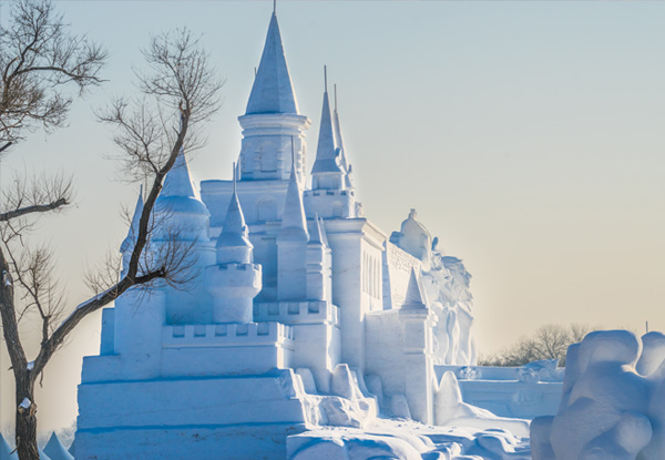 【山东旅游研学七日】曲阜孔庙拜孔子+登泰山+济南+山东省博物馆+趵突泉