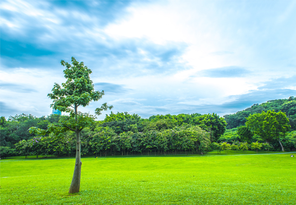 【云浮旅游跟团两日】天露山禅宗漂流/惊魂云端玻璃桥+国恩寺+逢简水乡 / 公司省内旅游