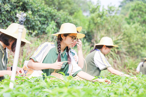 【初中生团建研学定制】学校班级毕业旅游团建 劳动实践研学 学分研学旅游 采摘制茶
