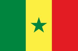 塞内加尔签证办理